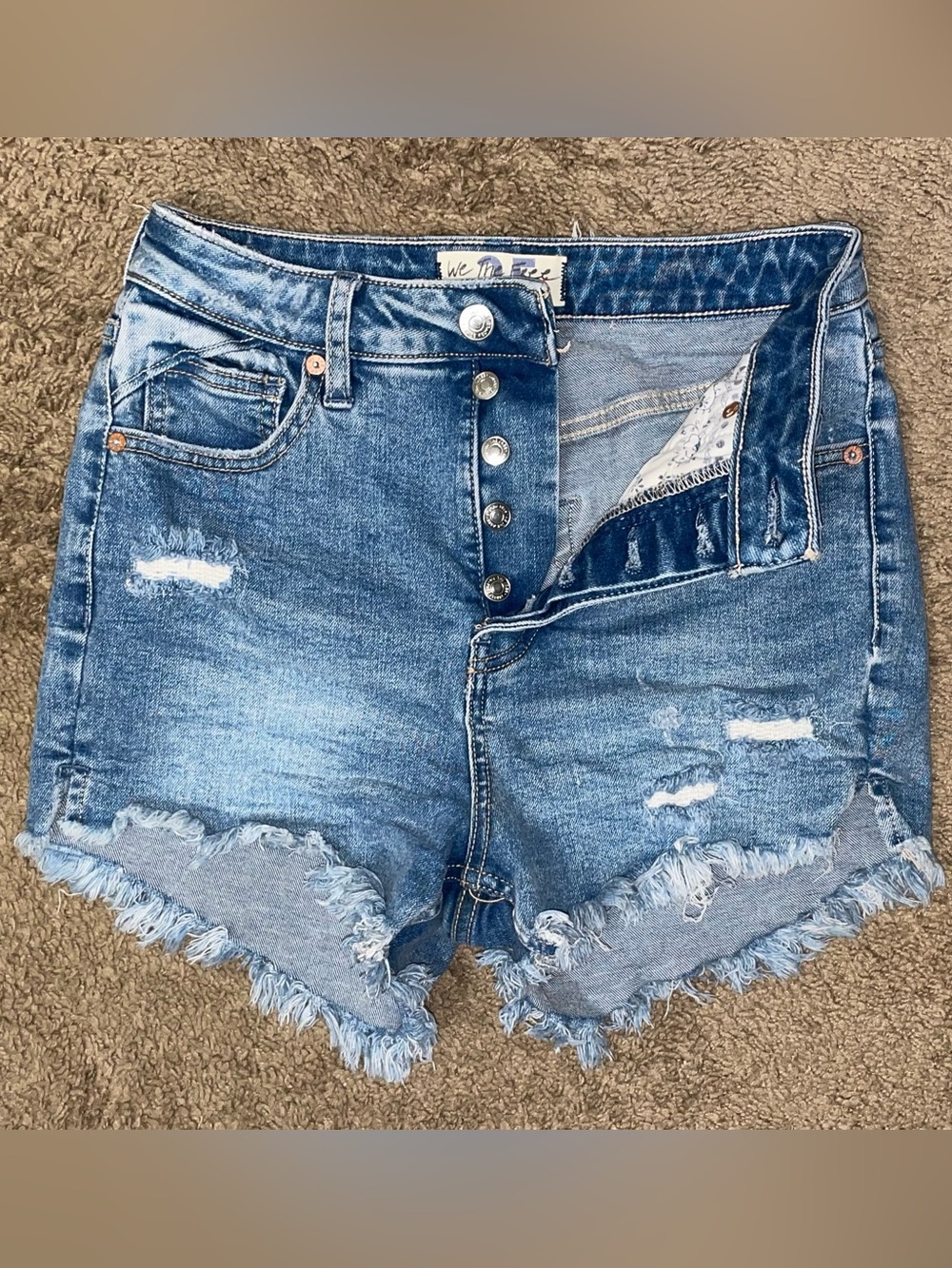 FP We The Free CRVY High Rise Button Fly Frayed Hem Distressed Denim Shorts